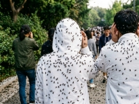 "계양산 공포 재현되나" 6월 말 러브버그 폭탄 예고