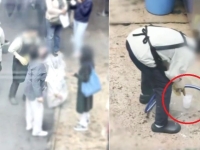 쓰레기통 얼음 재사용 "그 손으로 요리까지"…광장시장 위생 논란 또 터졌다