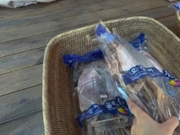 "이게 17만원이라고요?" 깜짝…"검색해보니 2만원대" 울릉도 마른 오징어 '시끌'