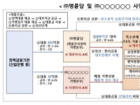 '제2 명륜당' 막는다…정부, 고금리 대출 가맹본부 정책자금 제한