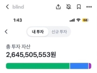 "X같이 돈 불렸다"…투자로 5억 → 26억 만든 30대 여성