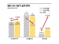 [Why&Next]해외매출 비중 90%…K-뷰티, 수익성 엇갈린 '이 공식' 