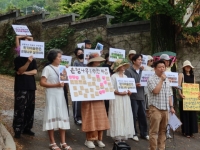 "100년 넘은 은행나무에 제초제"…부암동 환기미술관 도마에