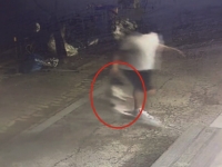 이웃 반려견 때려 죽인 20대…낮엔 예뻐하는 척, 밤에 몰래 찾아가 '잔혹학대'