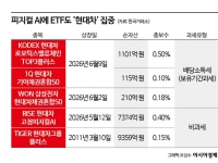 [재테크 풍향계]반도체 불안하다면…피지컬 AI에 '현대차 ETF' 후끈