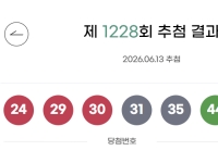1228회 로또 '24, 29, 30, 31, 35, 44'…1등 당첨금 26.9억 