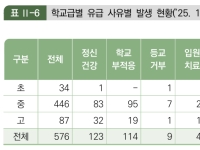 초·중·고 유급 사유 1위 '정신건강'…한 학기에만 1268명 입원