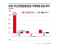 은행 대출 조이자…카드·보험업계도 대출 관리 고삐