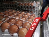 이미 비싼데요…"매일 아침 두개씩 먹는데 너무해" 이른 더위에 달걀값 공포