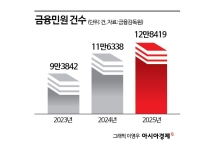 "가짜 판례까지" AI발 민원 폭탄에…금감원, 9월 '민원담당 AI 직원' 첫 투입