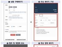 "쇼핑몰 결제창인 줄 알았는데"…금감원, 쇼핑몰 카드정보 피싱 주의보