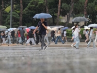 내일 전국 대체 흐리고 비…충청·전북북서부 폭우 주의
