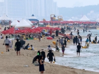 "절대 만지면 안돼"…보면 무조건 피해야 한다는 '여름바다 불청객' 정체