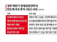 팹엔 800조…차세대 메모리엔 2000억