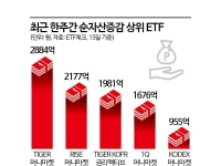 증시 출렁이니 '대기자금 피난처' 파킹형 ETF에 뭉칫돈
