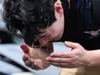 40도 폭염에 잠 못 자더니…"예민해진 데는 이유가 있었다"[실험노트]
