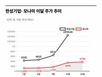 '애국 매수'에 3배 급등 후 거래정지까지 당한 주식…무슨 일? 