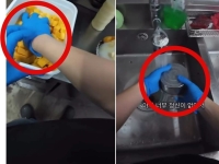 바쁜 여름 주방의 민낯? 위생장갑 하나로 청소와 조리 반복 