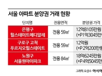 서울 분양권 거래, 전년比 34% 줄었는데…수억원 플피 물량 속출