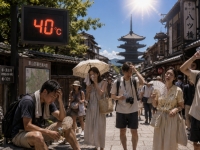 40도 폭염에 픽픽 쓰러진다…日 여행 가기 무섭네