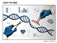 [사이언스스코프]생명의 암호 읽던 인간… 이젠 유전자를 '디자인'한다