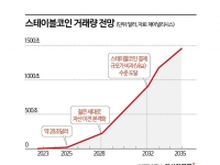 "기회일까, 위협일까"…온체인 기술 품는 카드사들