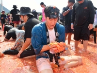 토마토 속 풍덩, 황금반지를 찾아라