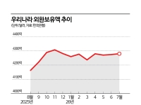"환율 방어에도…" 7월 외환보유액 오히려 늘었다, 이유는