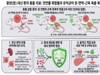 암 환자 근육 앗아가는 '악액질'…장내 미생물서 치료 실마리[과학을읽다]