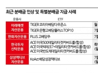 "삼전닉스 변동성 싫어요"…투자 매력 커진 배당 ETF [실전 재테크]