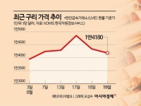 최고치 찍고 '숨고르기' 들어간 구리값, 더 갈까…주목할 수혜주는