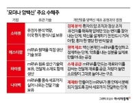 mRNA 암백신에 들썩이는 K바이오…새로운 '기회의 문' 열릴까