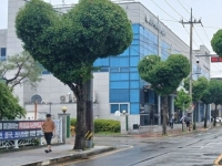"모방할까 걱정"…산림청이 전국 2위로 뽑은 하트 가로수길 '시끌'