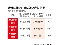 보험사 상반기 순익 9조 돌파…투가손익 개선에 13%↑