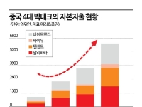 美·中 빅테크 '고래싸움'에 등 안터져…뒤에서 웃는 종목은