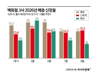 삼전닉스 고전에…백화점 '나홀로 호황' 꺾이나
