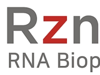 알지노믹스, 생산 효율 최대 7배 높인 원형 RNA 원천기술 개발