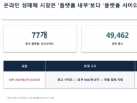 플랫폼으로 이동한 성매매…성인사이트 광고 5만건 중 18%는 SNS로 연결