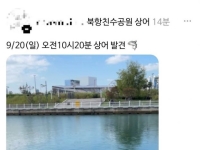 "상어가 5분마다 팬서비스"…부산 북항 뜻밖 여행특수