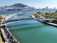 공원 산책로에 나타난 상어, 왜 여기까지 왔을까