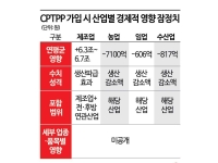 제조업 6조 늘고 농수산업 8500억 준다?…CPTPP 영향분석에 숨은 '착시'