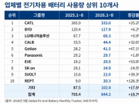1~8월 전세계 전기차용 배터리 사용량 19.7%↑…韓 3사 3.9%P 하락