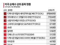 '극과 극' 서학개미…반도체 3배에 美국채·배당주 몰려