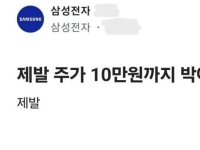 "10만원까지 빠져라…더 이득" 삼전 직원 추정 익명 글에 투자자들 '부글부글'