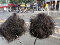 "머리카락인 줄 알았는데"…온라인에서 판매한 수상한 中 식재료 정체는