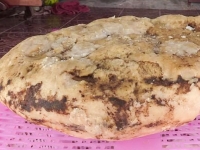 美 해변 거닐다 발견한 '떠다니는 금'…가격 따져보니