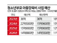 [단독]청소년부모 양육비 지원대상 늘린다지만…지난해 예산 20% 가까이 남아