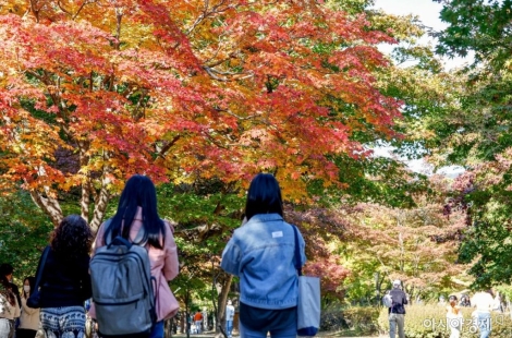 "20만원 쓰면 10만원 돌려준다?"…정부가 또 꺼낸 '파격 카드'[혜택의 정석]