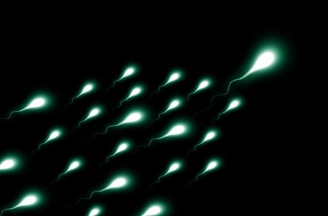 "성욕은 그대로"…정자만 멈추는 '남성 피임' 가능성 확인 