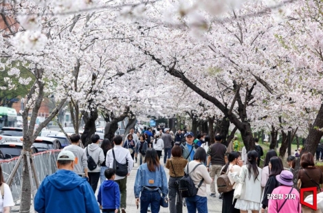 "비싸서 여행은 포기" 이런 사람 많아서…'100% 할인' 나왔다[혜택의 정석]